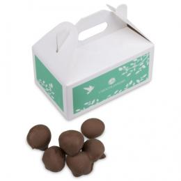 ChocoNuts Mini - ummantelt mit Vollmilchschokolade