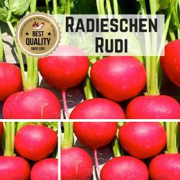 Radieschen (Rudi) Samen